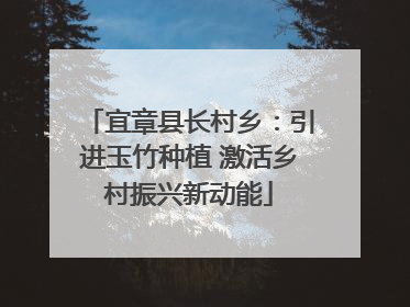 宜章县长村乡：引进玉竹种植 激活乡村振兴新动能
